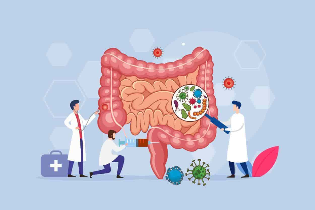 Desequilibrio en la microbiota intestinal debilita el sistema inmune: inmunólogo