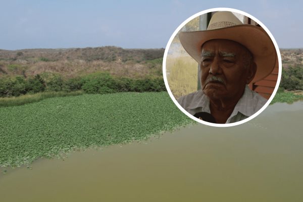 Por falta de dragado no hay producción de especies en la Laguna de San Julián (+Video)