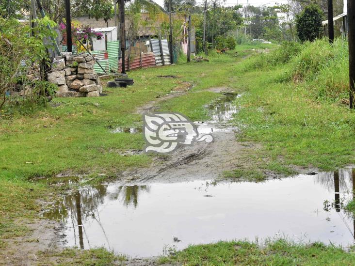 Un cochinero calles de La Esperanza, vecinos claman atención