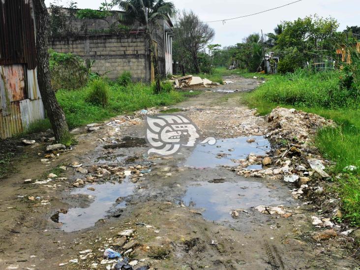 Un cochinero calles de La Esperanza, vecinos claman atención