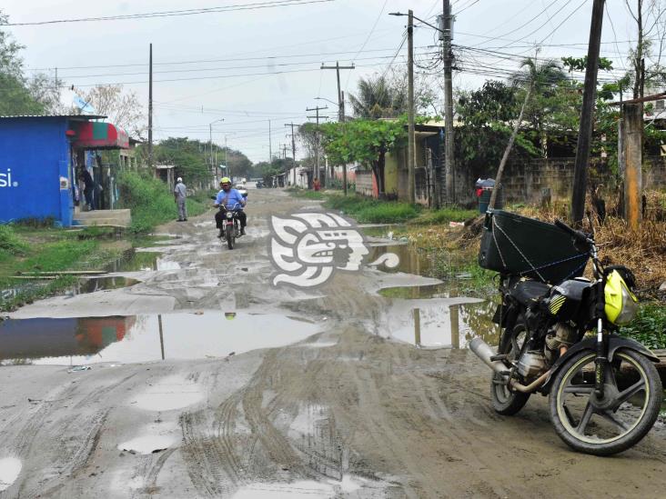 Un cochinero calles de La Esperanza, vecinos claman atención