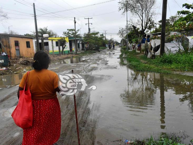 Un cochinero calles de La Esperanza, vecinos claman atención