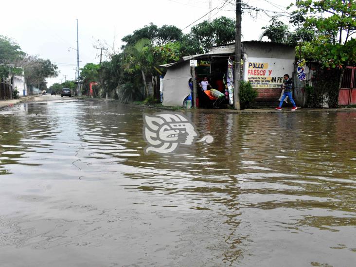 Un cochinero calles de La Esperanza, vecinos claman atención