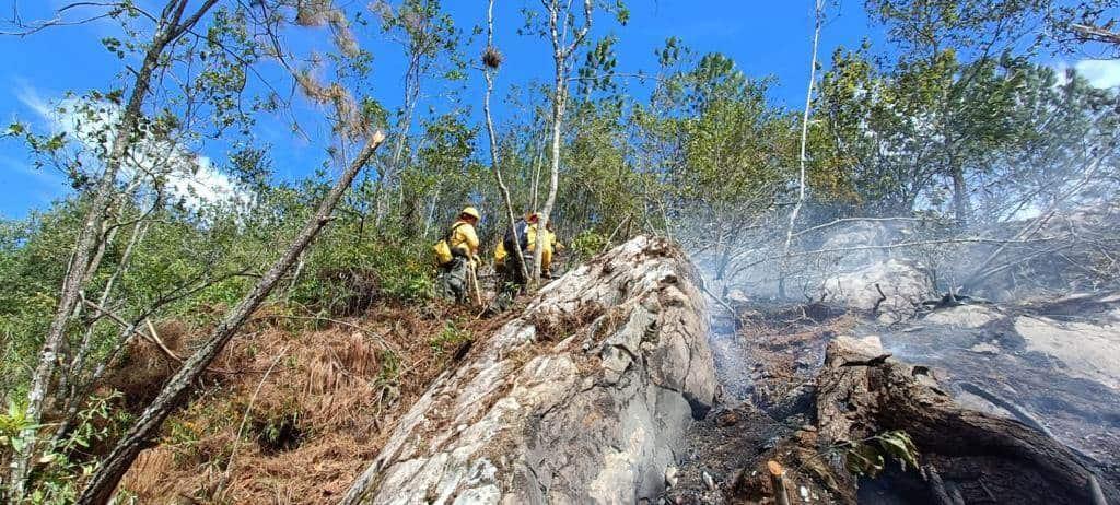 Más de 2.20 hectáreas de boque de pino y encino resultaron afectadas por incendio en Tequila