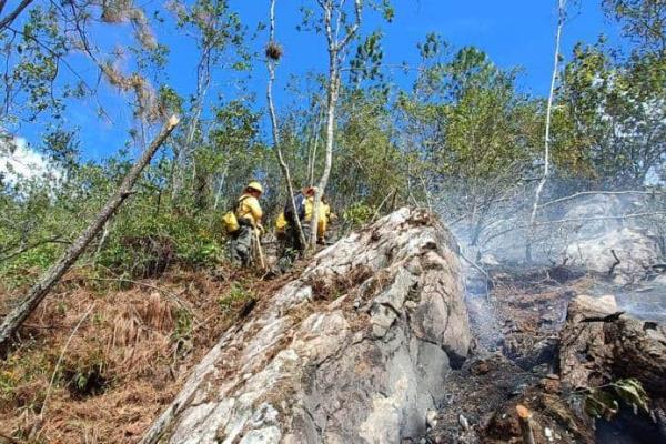Incendio en Tequila afectó 2.20 hectáreas de bosque de pino y encino