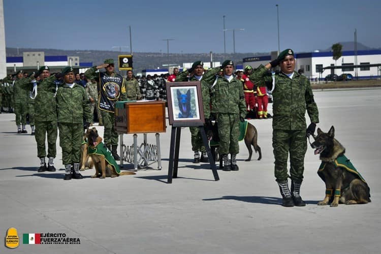 ¡Héroe mexicano!; Proteo será inmortalizado en Estambul 