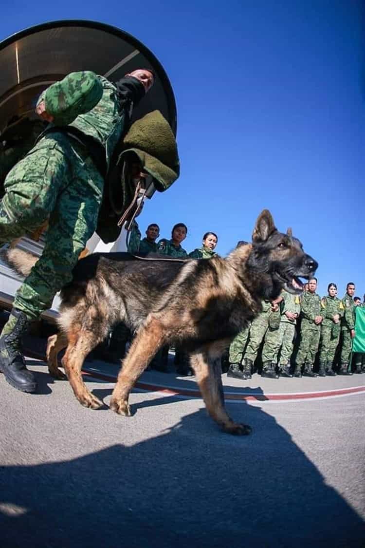 ¡Héroe mexicano!; Proteo será inmortalizado en Estambul 