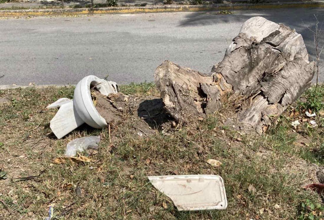 ¿Una taza a media calle en Veracruz? Aquí te decimos donde