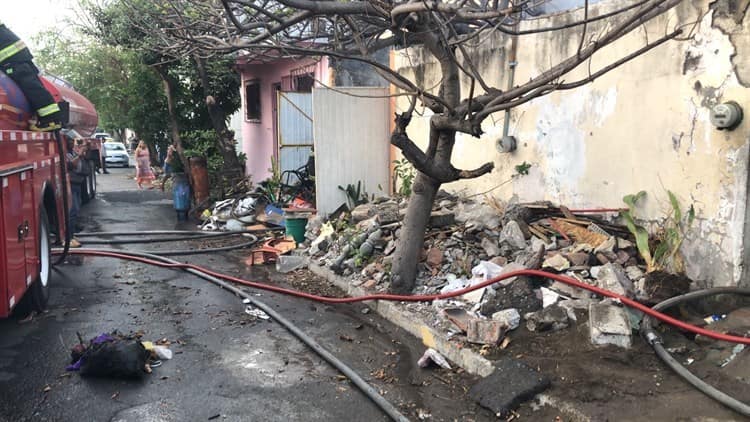 Incendio acaba con vivienda en Veracruz; había en el interior 7 perros y 2 gallos (+Video)