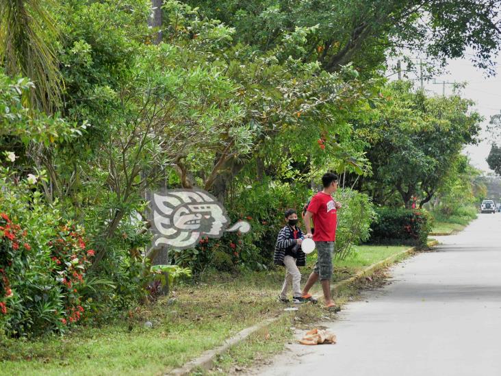 Piden atención de Limpia Pública y Alumbrado en la Frutos de la Revolución