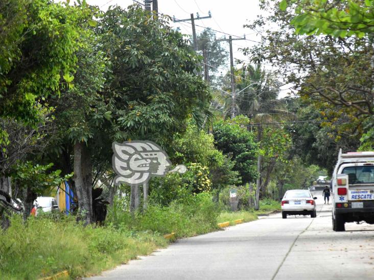 Piden atención de Limpia Pública y Alumbrado en la Frutos de la Revolución