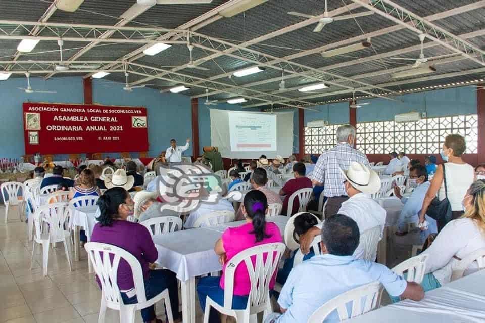 Alistan asamblea general en la AGL de Soconusco