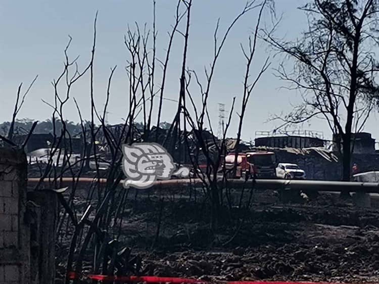 ¡Devastación! Fuego arrasó más de una hectárea en Tuzandépetl (+Video)