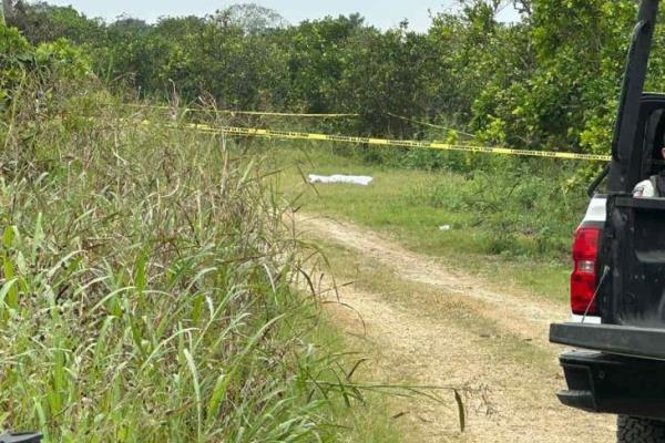Feminicidio en Álamo; hallan cuerpo de mujer en un naranjal