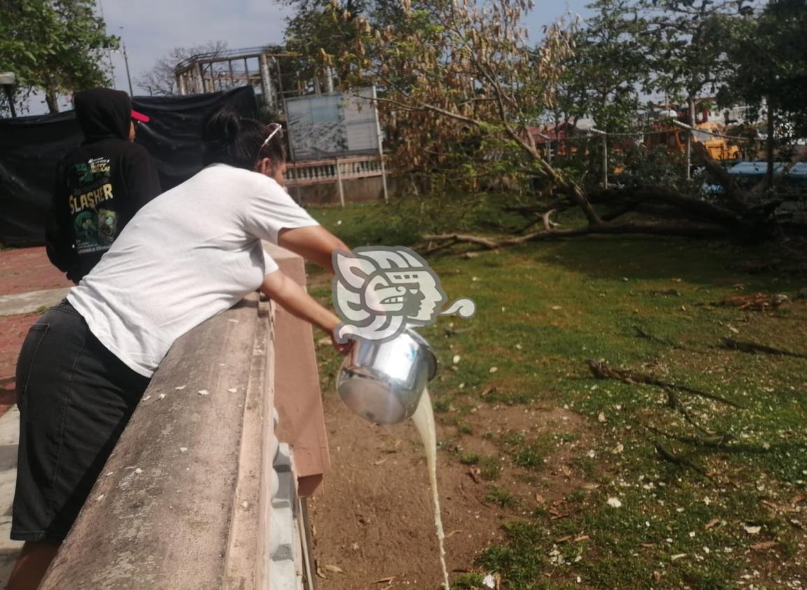 Doña Sol a diario alimenta a iguanas del Paseo Ribereño