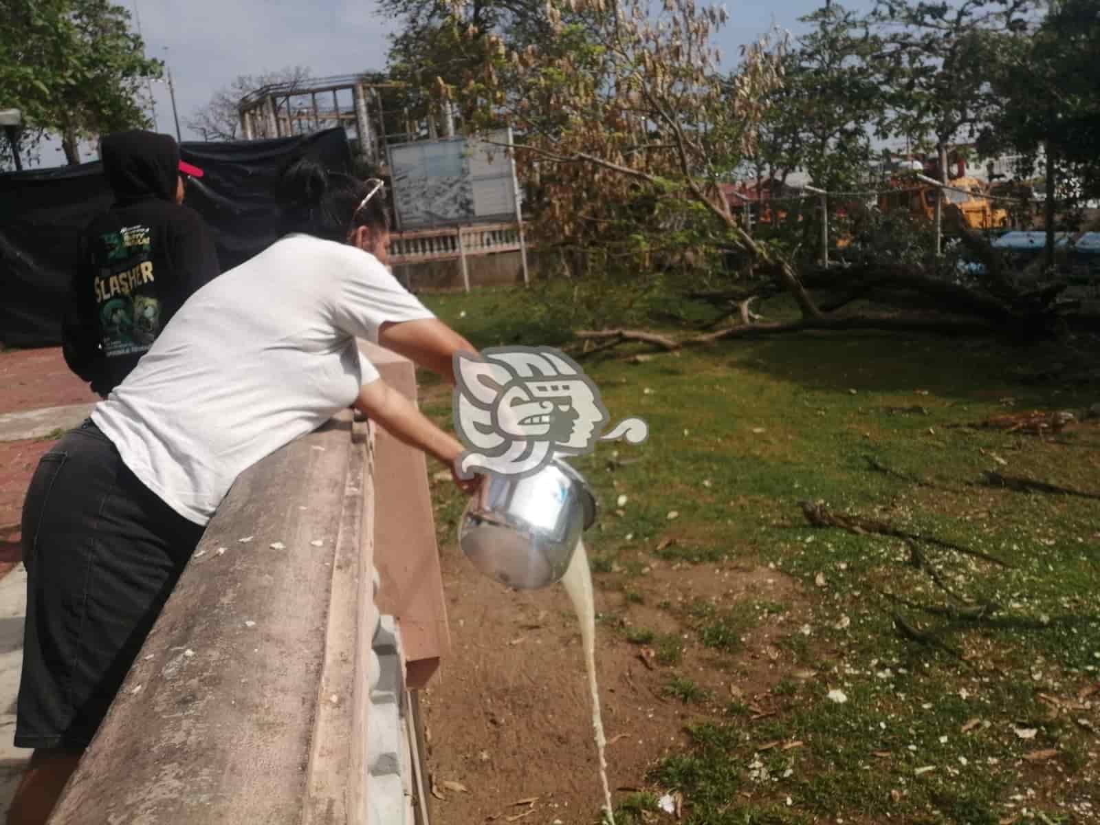 Doña Sol a diario alimenta a iguanas del Paseo Ribereño