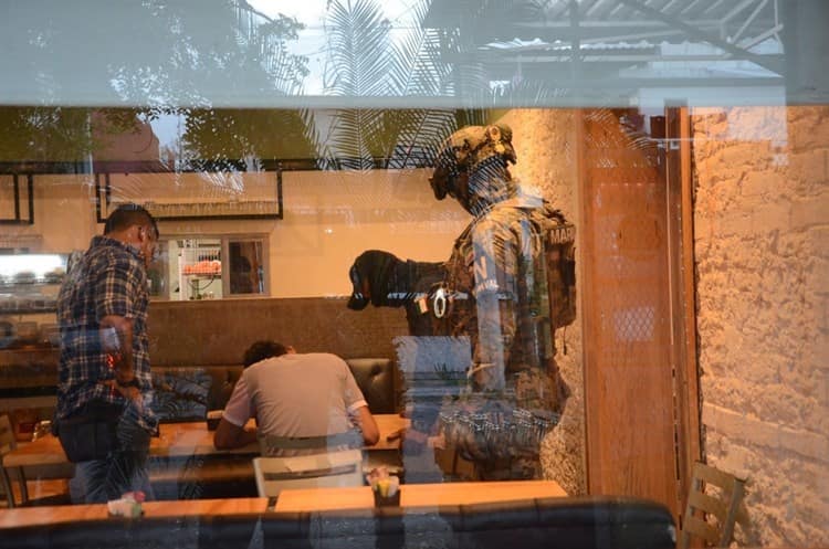 Hombre baleado en intento de asalto a cafetería en Veracruz (en vivo)