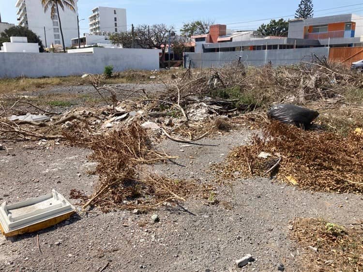 Baldío lleno de basura afea el fraccionamiento Virginia