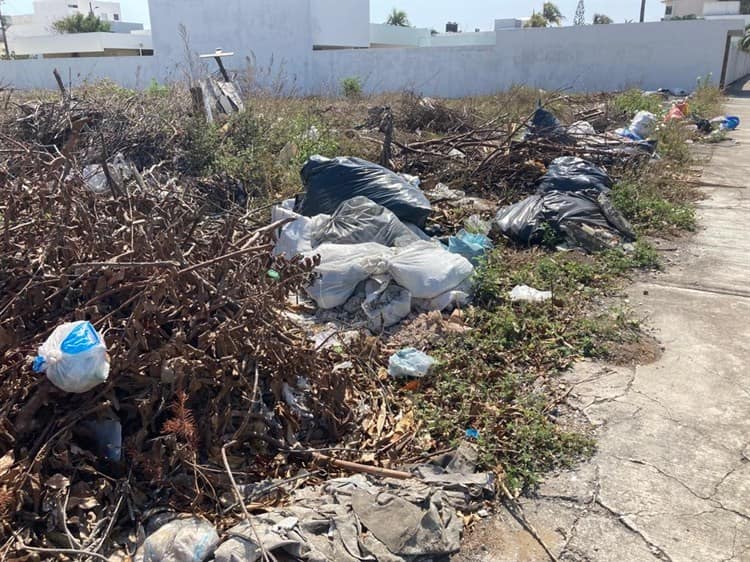 Baldío lleno de basura afea el fraccionamiento Virginia