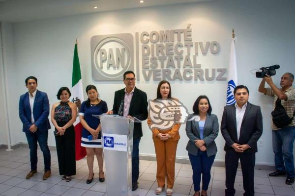 PAN-Veracruz niega defender privilegios en marcha del INE