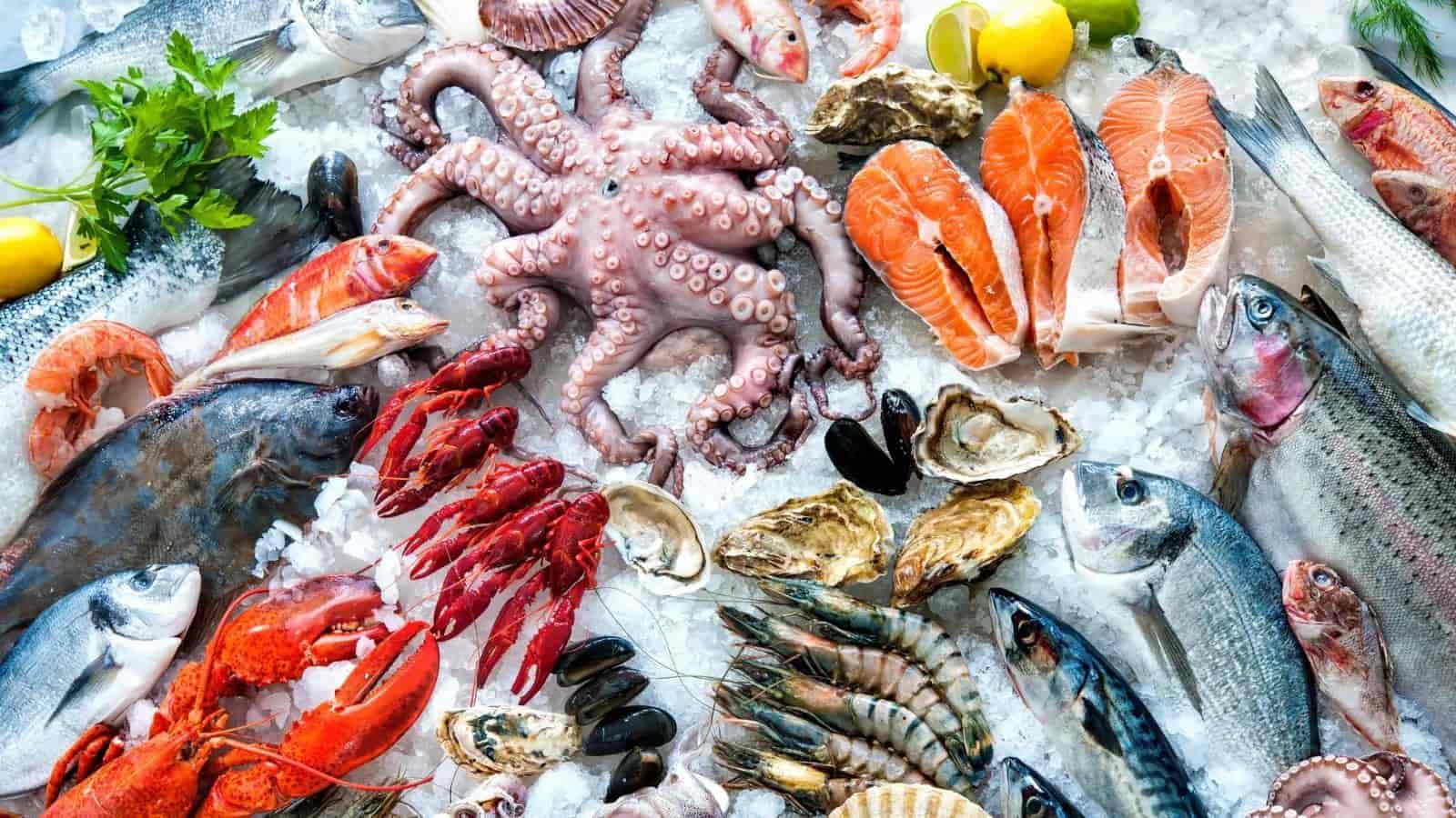 Alertan sobre cuidado de consumir pescados y mariscos por Cuaresma en Veracruz