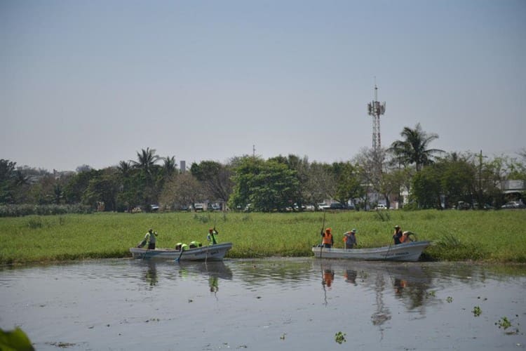 Arrancan programas de trabajo de limpieza en lagunas de Veracruz