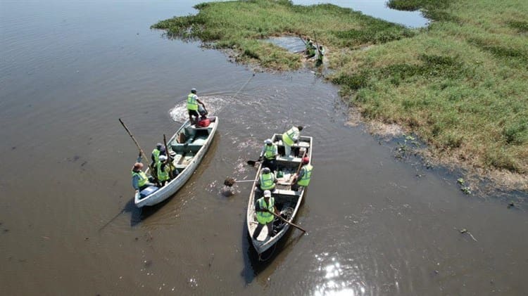 Arrancan programas de trabajo de limpieza en lagunas de Veracruz