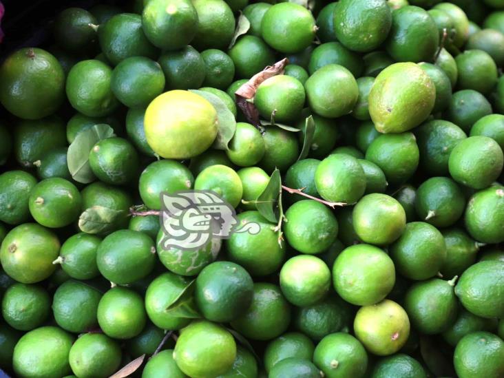 Kilo de limón superará los 40 pesos al sur de Veracruz por sequía