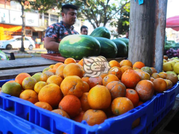 Kilo de limón superará los 40 pesos al sur de Veracruz por sequía