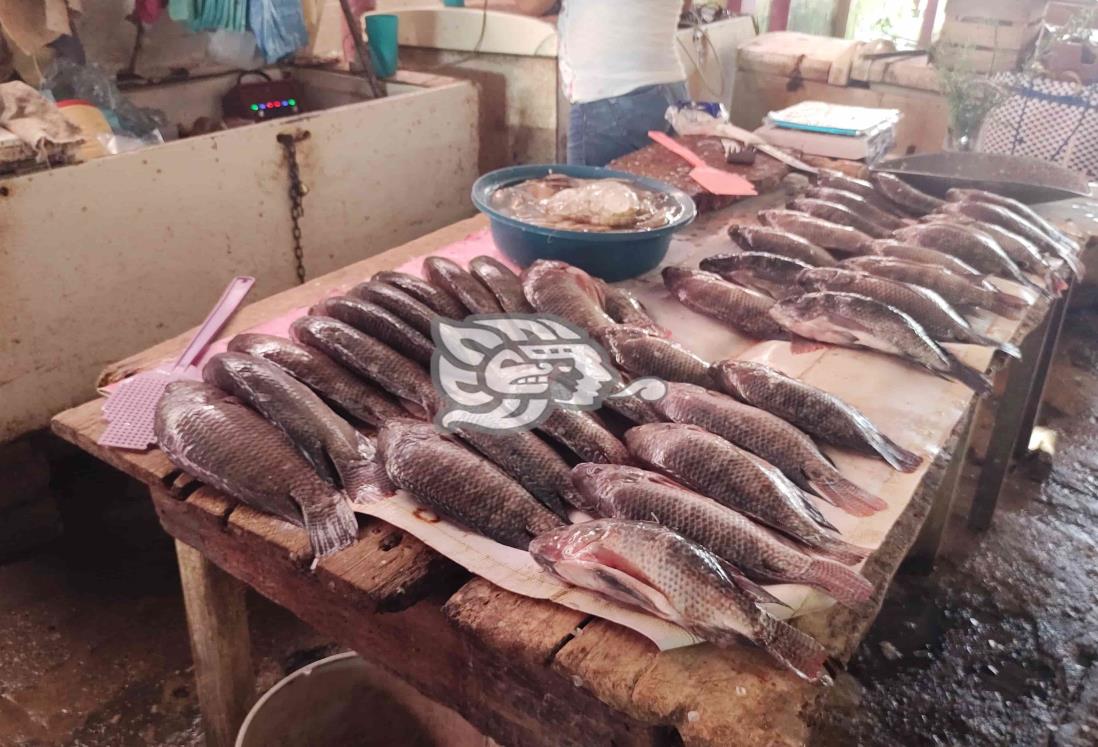 Venta de mariscos no ha tenido un incremento en sur de Veracruz