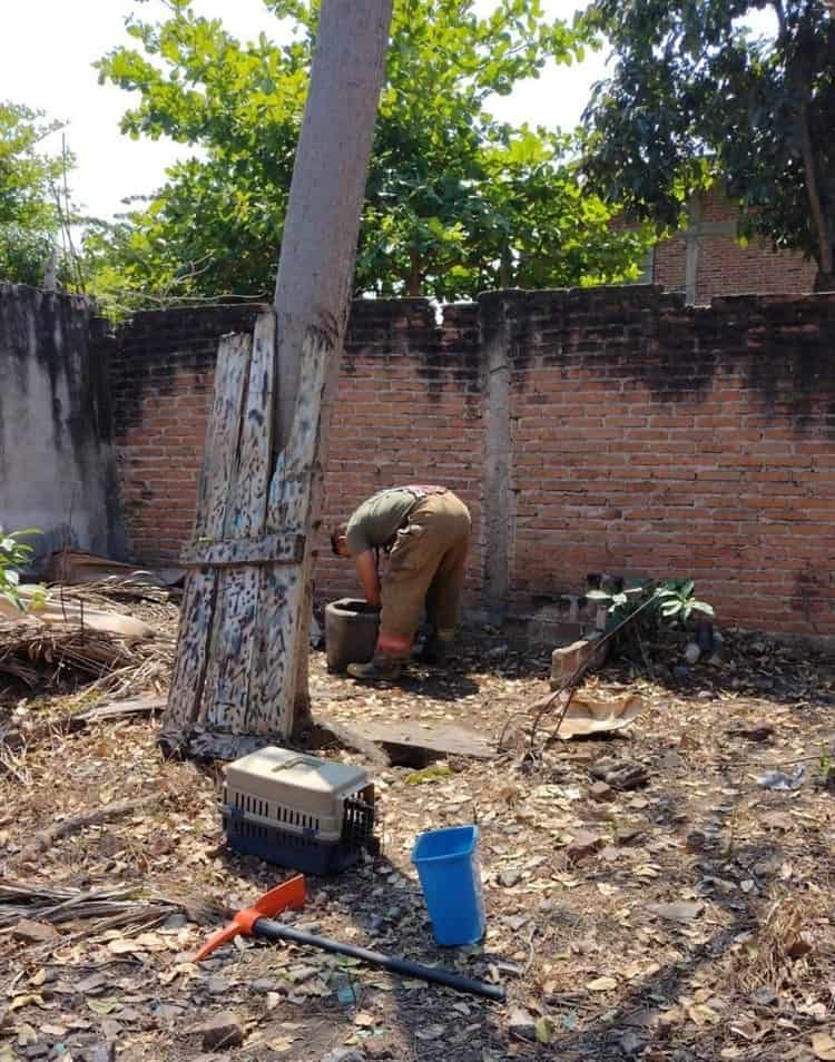 Rescatan a dos cachorritos en Cardel; habían caído a una fosa