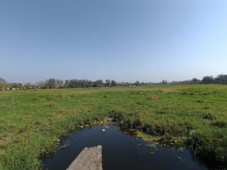 Limpieza de Laguna de Lagartos debe ser constante, piden los vecinos