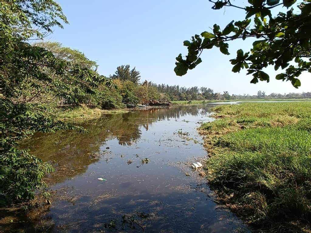 Limpieza de Laguna de Lagartos debe ser constante, piden los vecinos