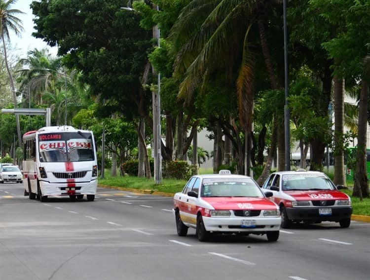 Movimiento Nacional Transportista se pronuncia contra modificación de la Ley de Transporte (+Video)