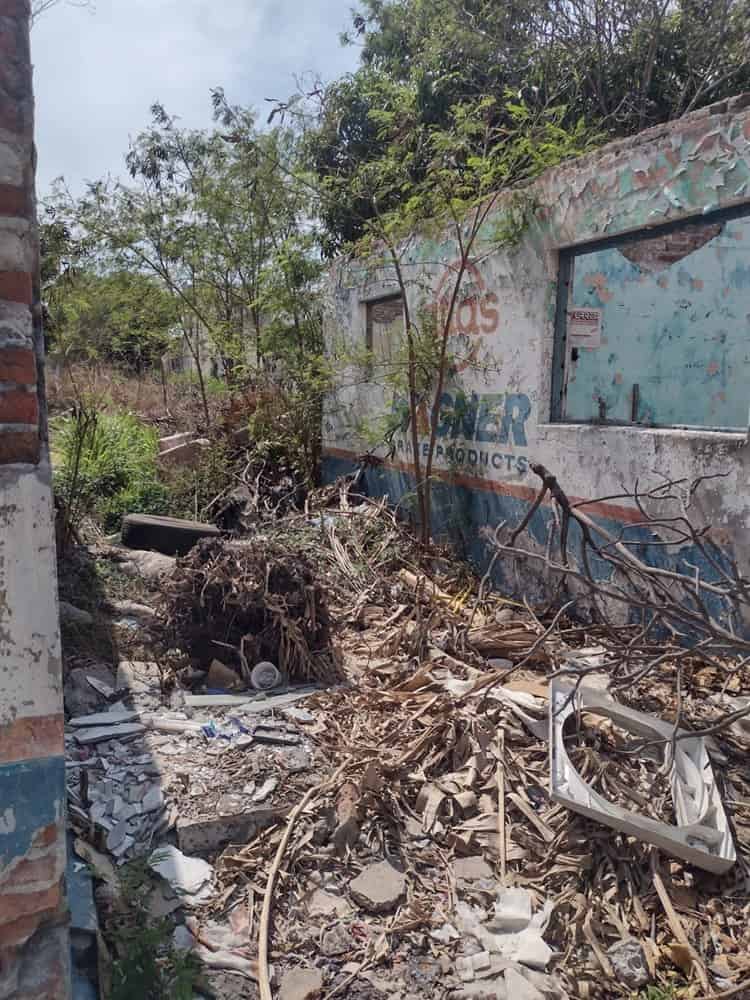 Inmueble abandonado y lleno de basura pone en peligro a transeúntes en Veracruz