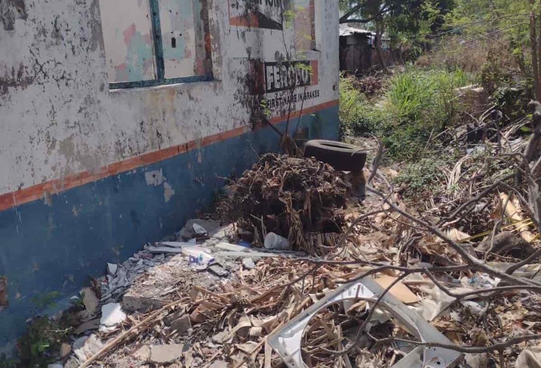 Inmueble abandonado y lleno de basura pone en peligro a transeúntes en Veracruz