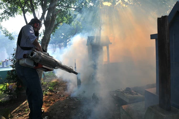 Se dispararon 60.5% los casos de Dengue en Veracruz