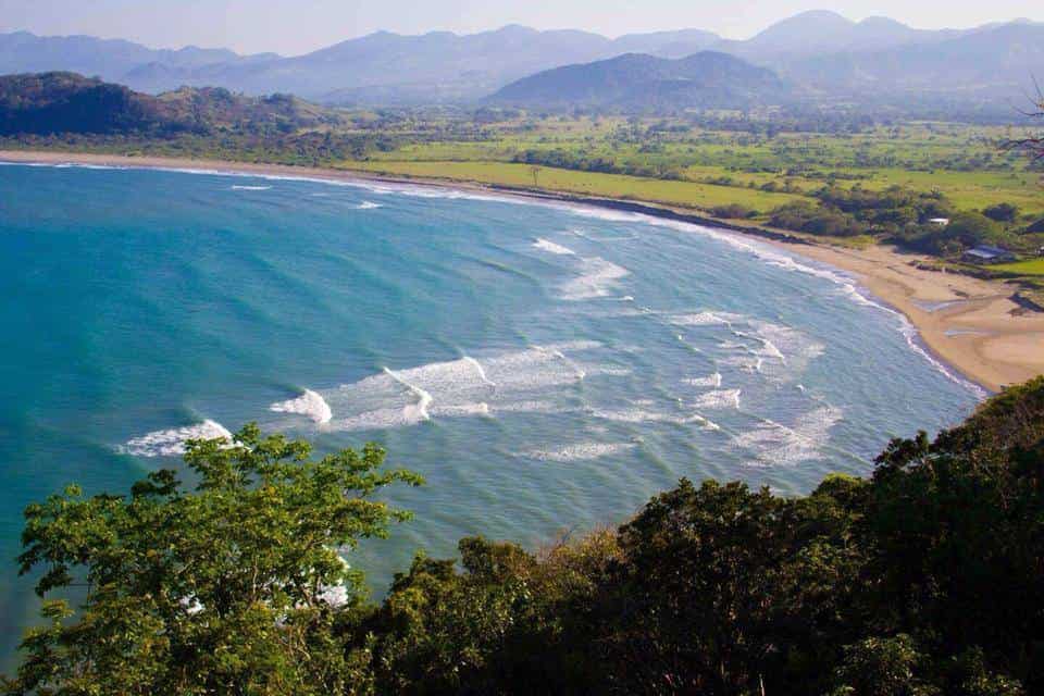 Reportan avistamiento de 17 delfines frente a playas de Pajapan, Veracruz