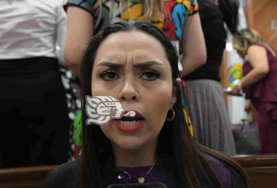 No toca al gobernador decidir cuándo hay o no violencia política: Ruth Callejas