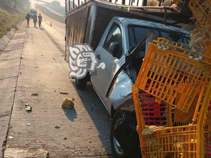 Chocan camionetas cargadas con pollos en la Orizaba-Veracruz