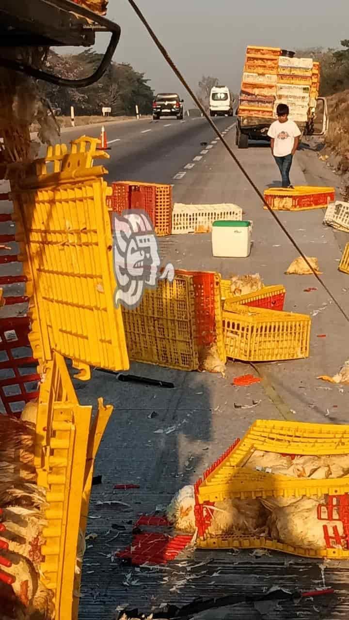 Chocan camionetas cargadas con pollos en la Orizaba-Veracruz