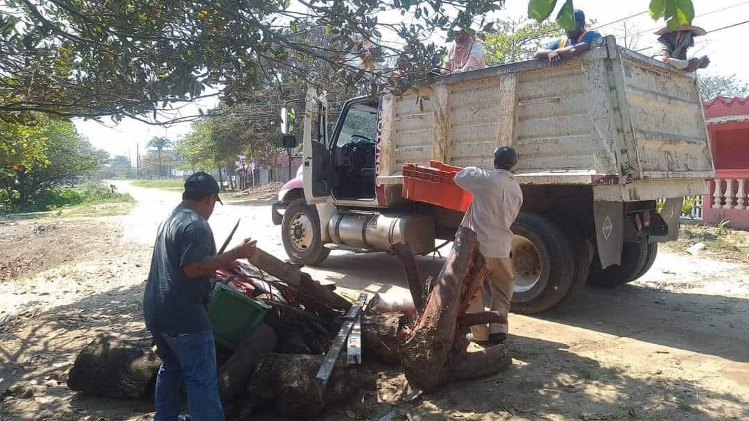 Eliminan criaderos de mosquitos en jornada contra el Dengue en Allende