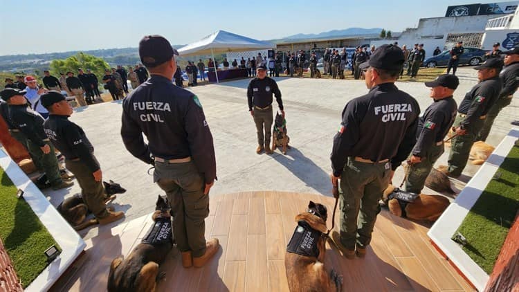 ¡Bravo! 8 elementos caninos de la Fuerza Civil retirados en Veracruz reciben homenaje