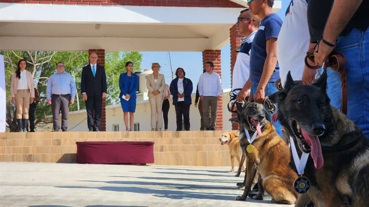 ¡Bravo! 8 elementos caninos de la Fuerza Civil retirados en Veracruz reciben homenaje