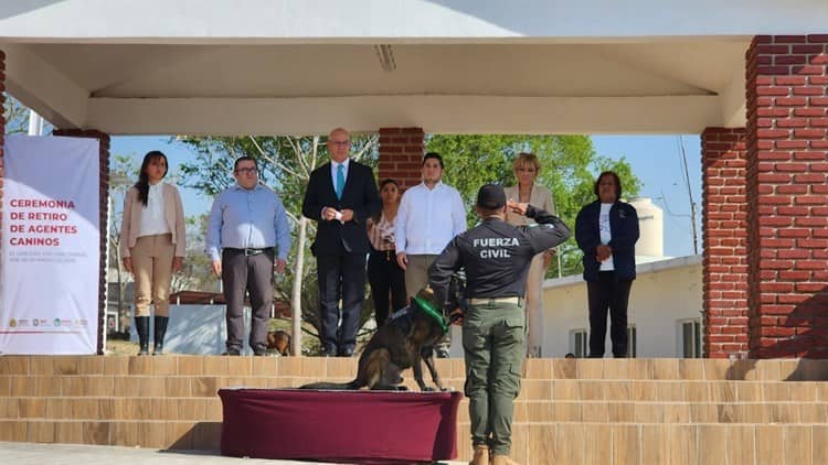 ¡Bravo! 8 elementos caninos de la Fuerza Civil retirados en Veracruz reciben homenaje