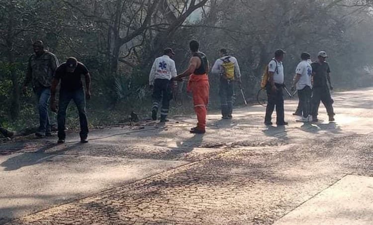 Controlan incendio de pastizales en Cerro de Los Metates, en Actopan