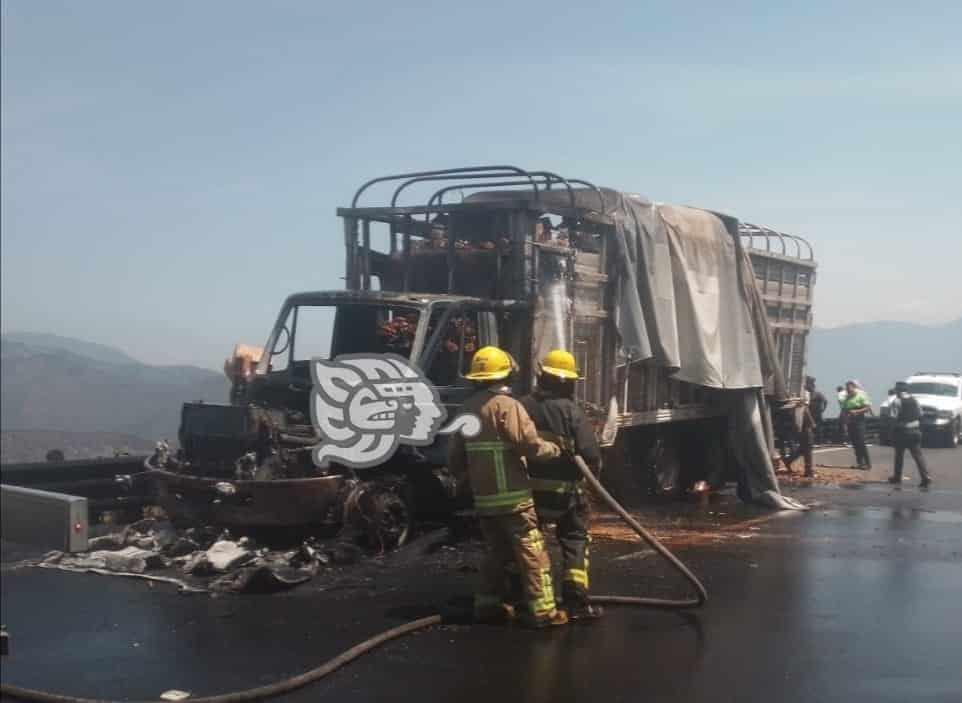 ¡Poco les importó el fuego! rapiñan torton incendiado en Maltrata (+Video)