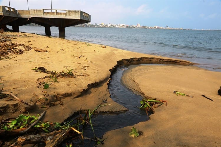 Descargas de aguas negras en Villa Allende terminan en el río Coatzacoalcos(+Video)