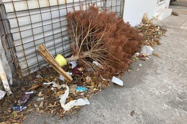¡En pleno marzo! Siguen dejando tirados arbolitos de Navidad en calles de Boca del Río