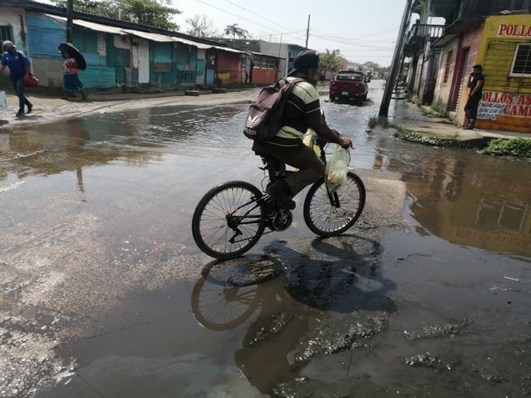 ¡No los pelan!: 8 años entre aguas negras y no les dan solución en la Francisco Villa (+Vídeo)